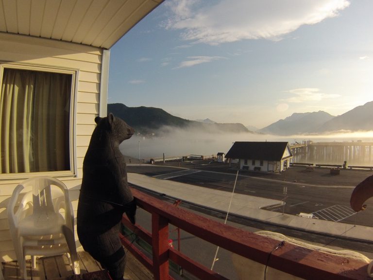 Haines Morning II